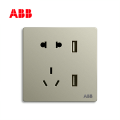 开关插座轩致香槟银二位带USB充电中标二三极插座10AAF293-CS;10183567
