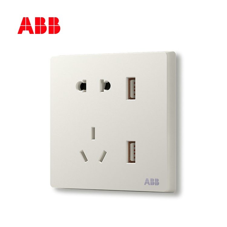 开关插座轩致雅典白二位带USB充电中标二三极插座10A AF293;10183457